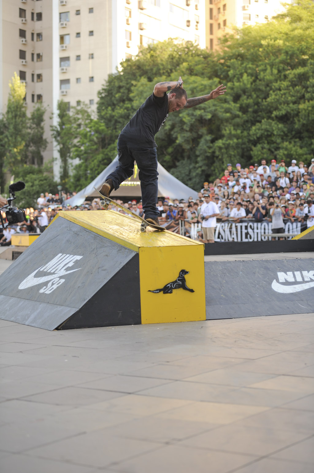 Matriz Skate Pro 2013